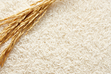rice img